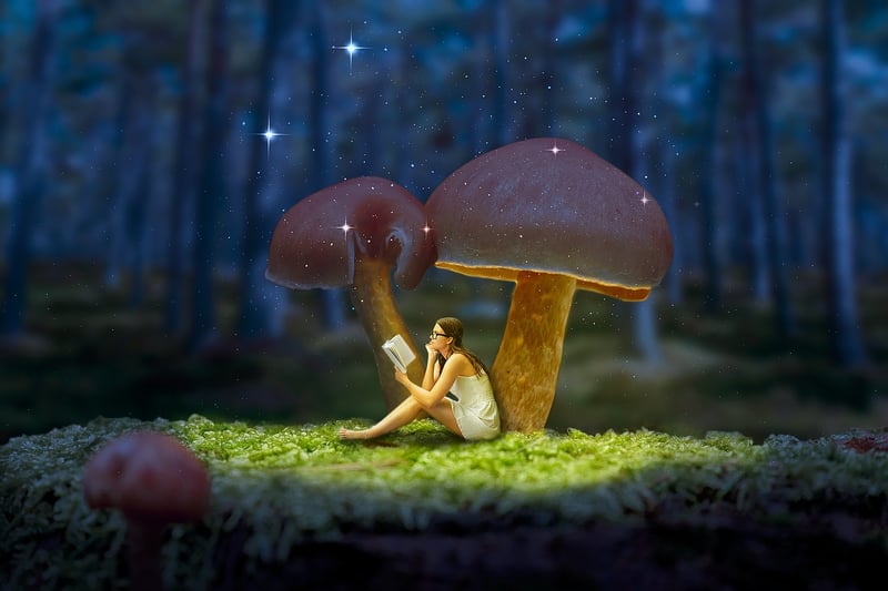 Enchanted Keepsakes