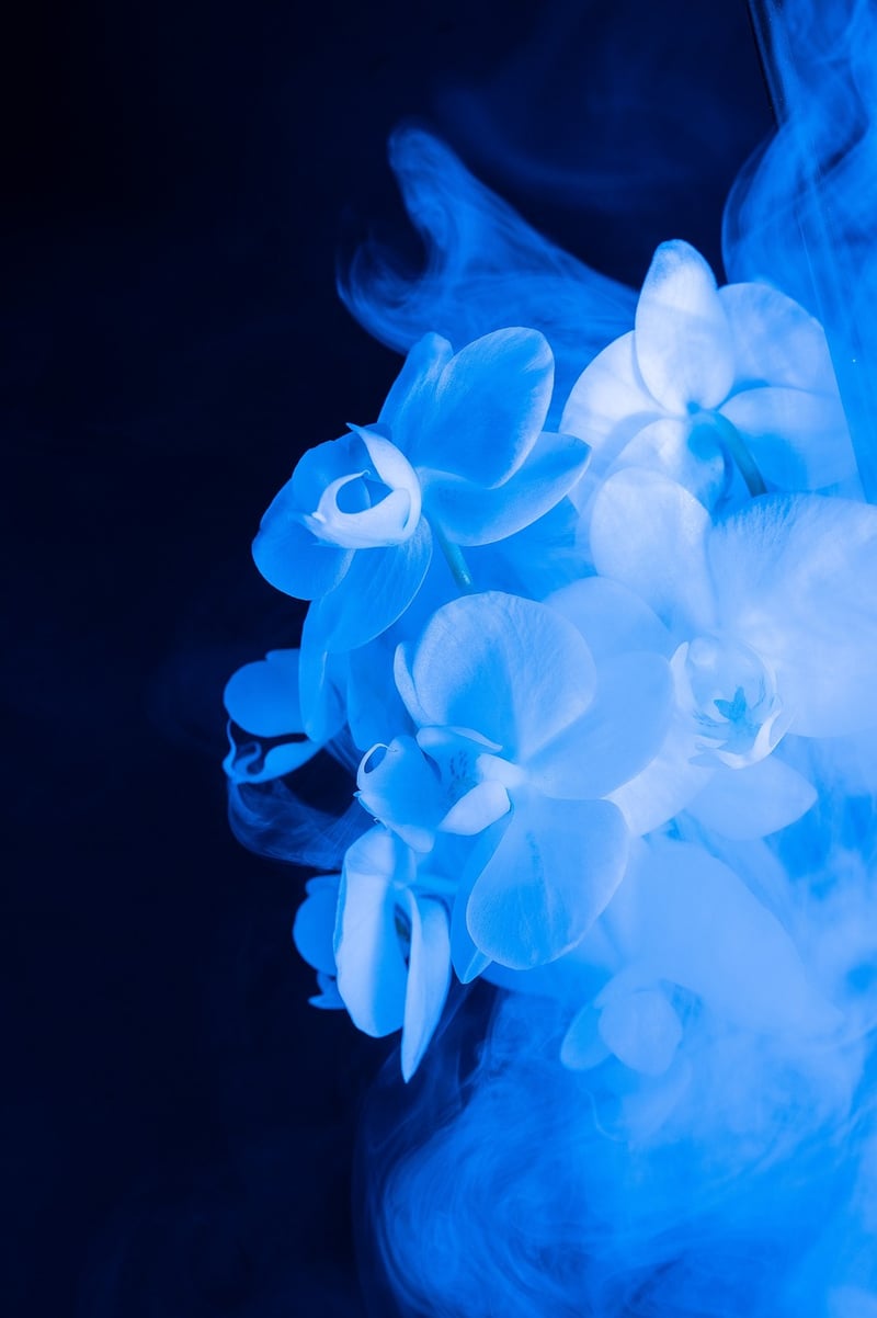 Fantasy Florals