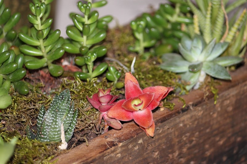 Whimsical Centerpiece